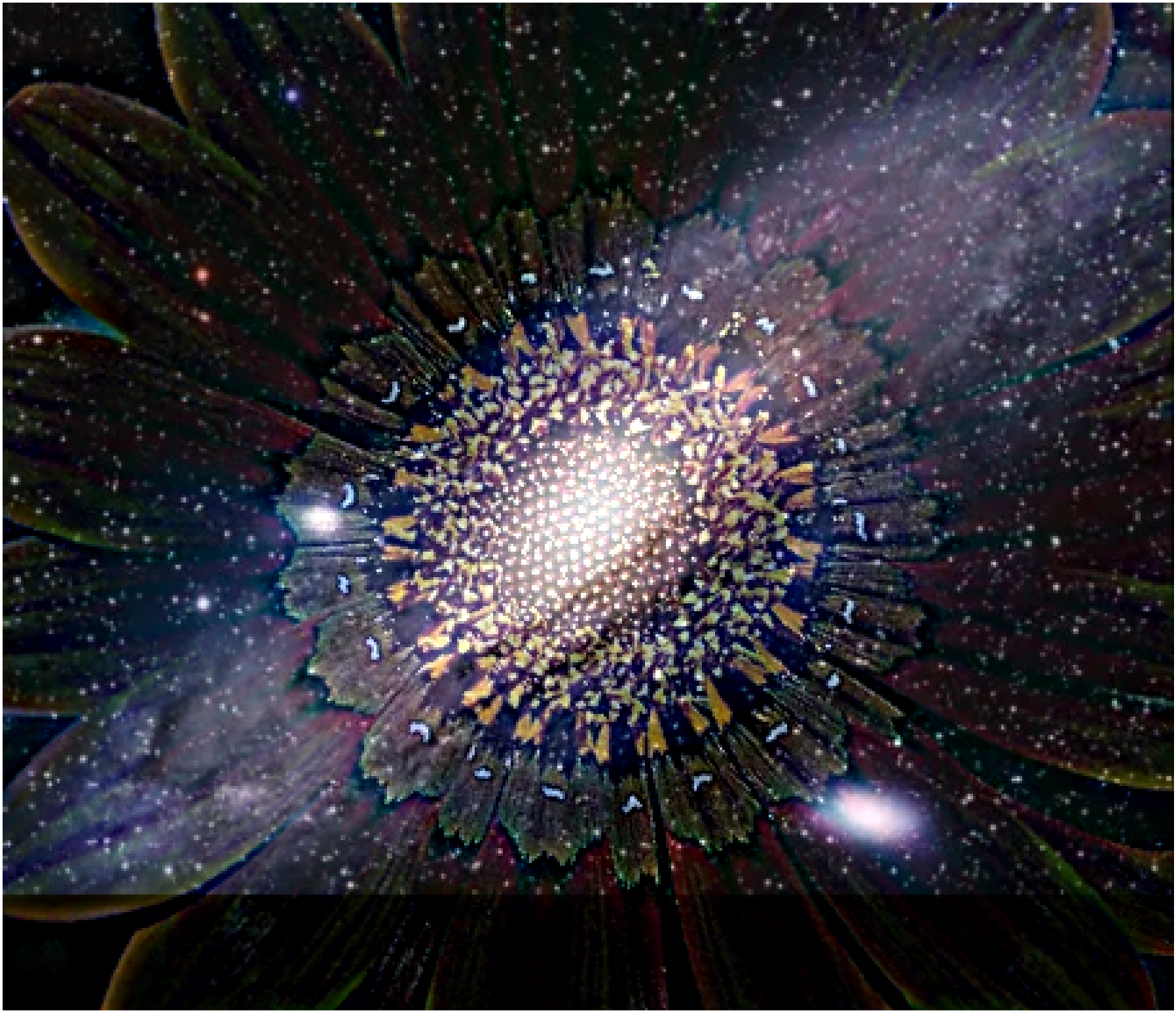 Galaxy/Flower hybrid