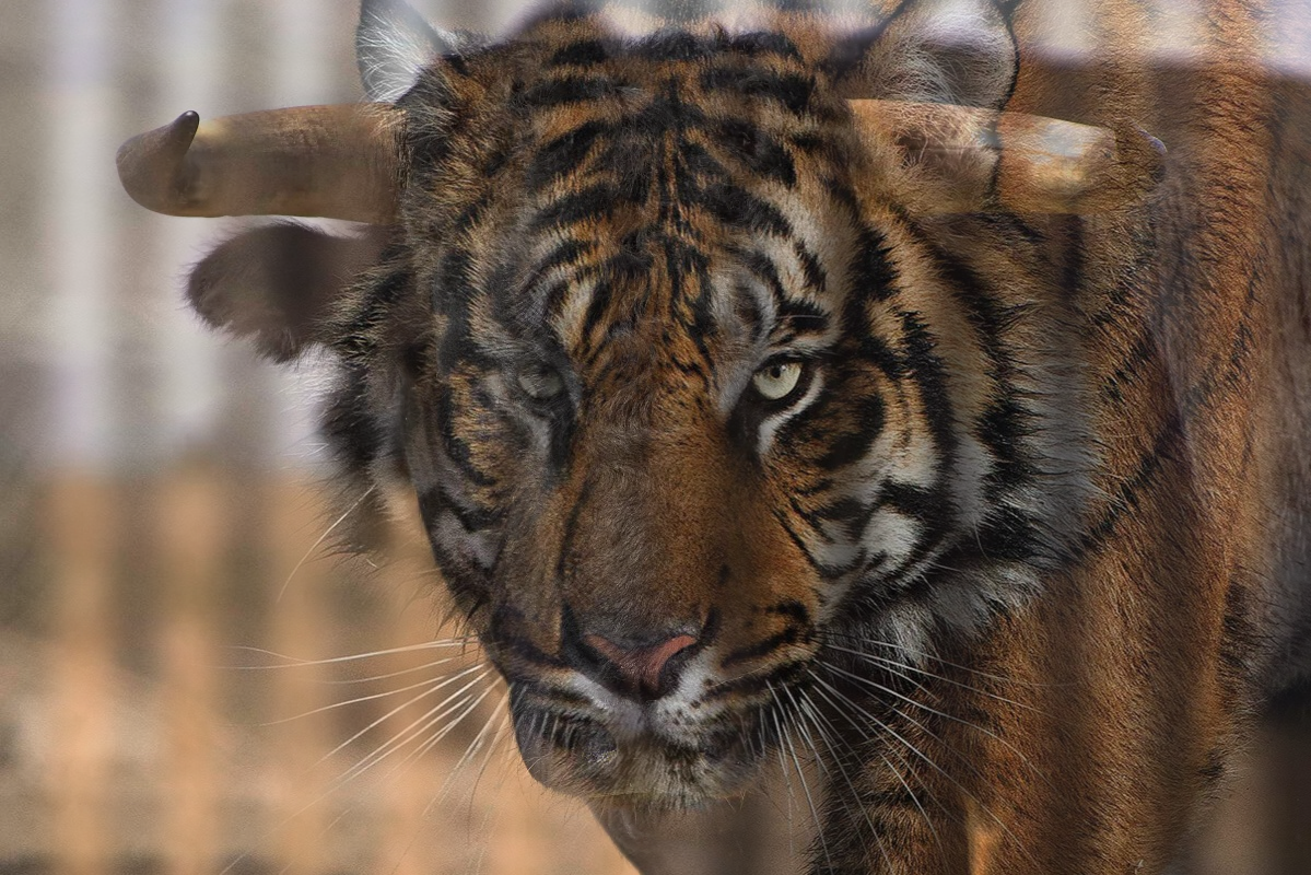 Blend result 2 (irregular mask)