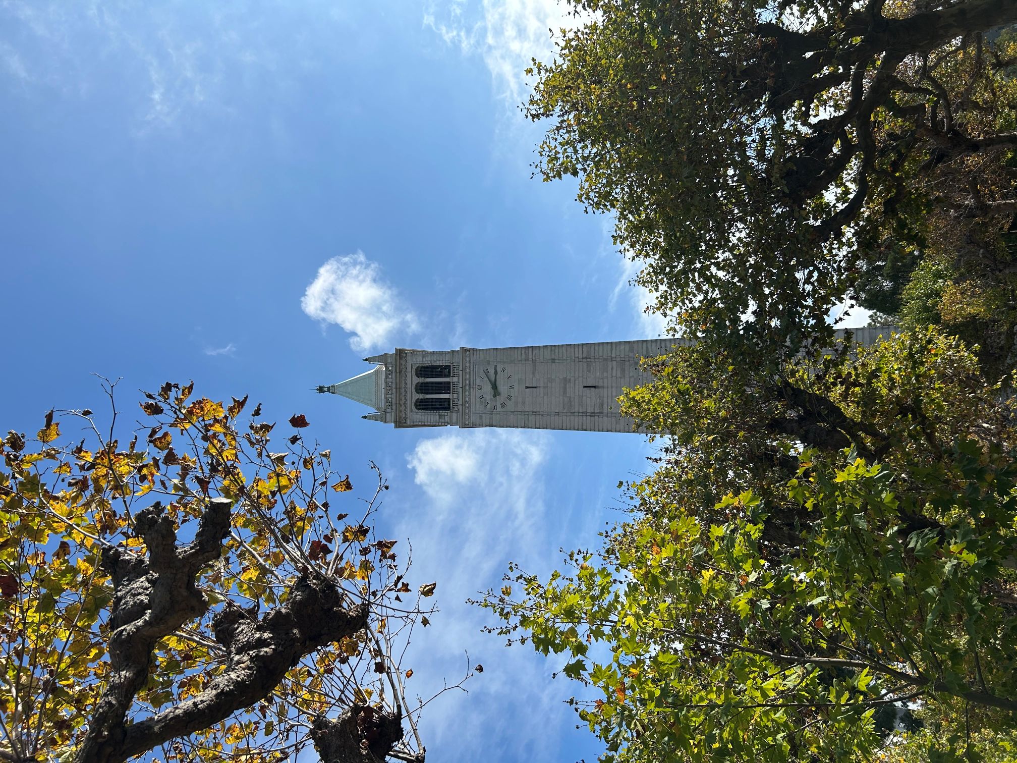 Rectification – tiles