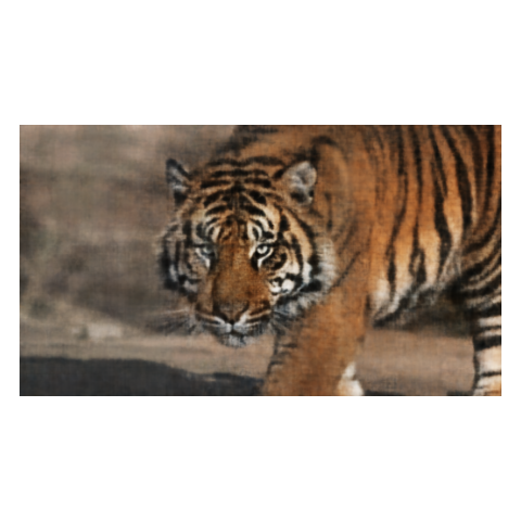 Training progression on my own image, iteration 2000